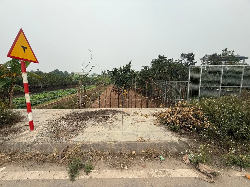 Đất nông nghiệp 390m² tại Sài Sơn, Quốc Oai - Vị trí đắc địa, giá tốt!