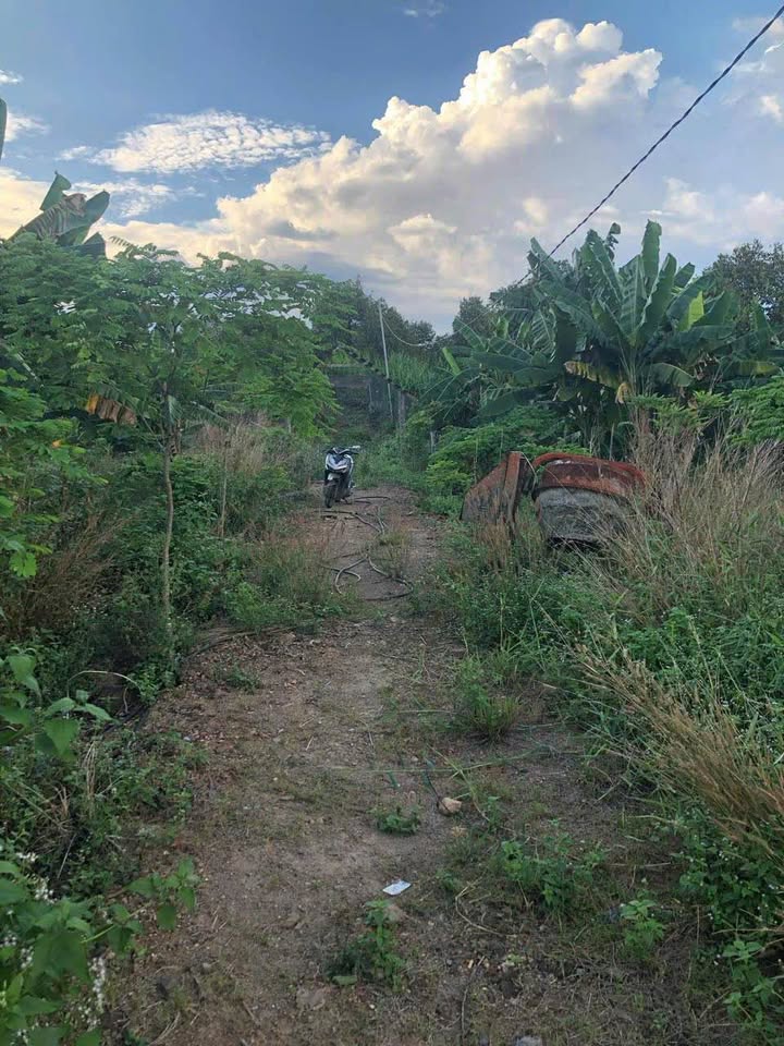 Đất nền 3,8 sào tại Thanh Sơn, Tân Phú chỉ 1,1 tỷ - Cơ hội đầu tư tuyệt vời!