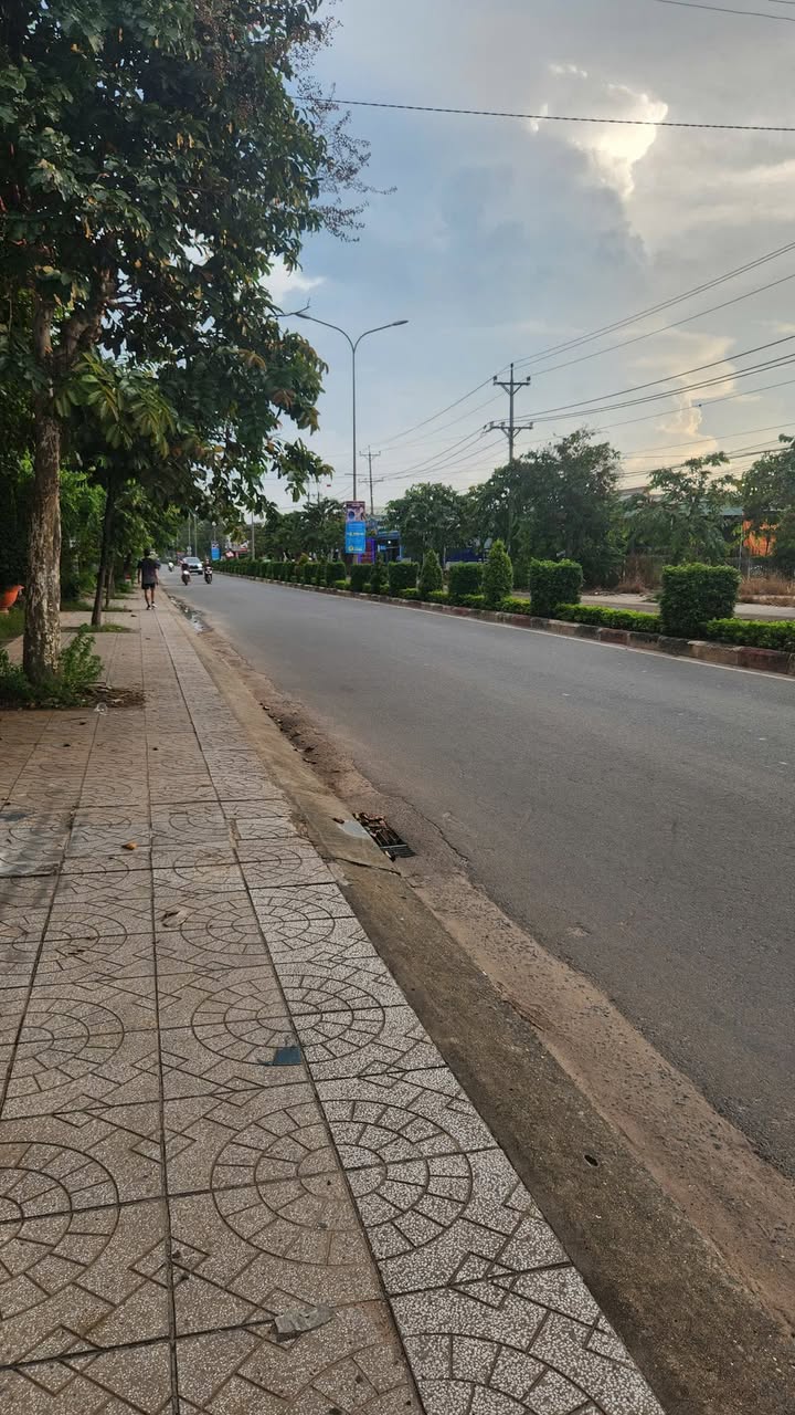 Đất mặt tiền ấp 2, xã Tân Châu, Tây Ninh 1000m² - Thích hợp kinh doanh