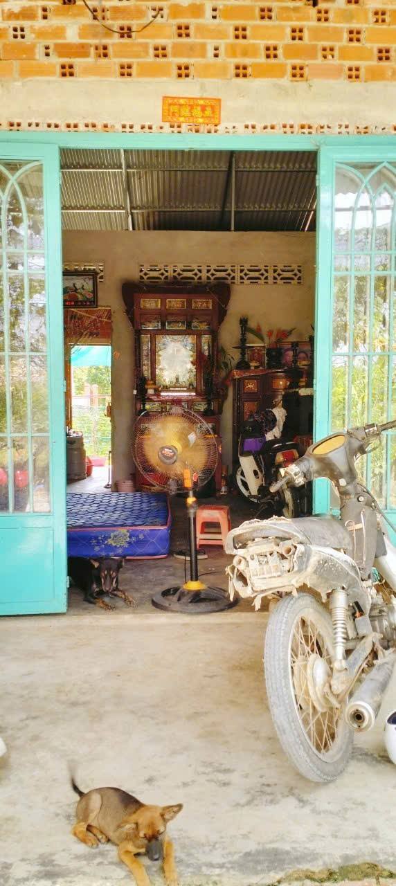 Nhà bán tại Phường Long Hoa, Tây Ninh - Diện tích 87m², giá chỉ 390 triệu!