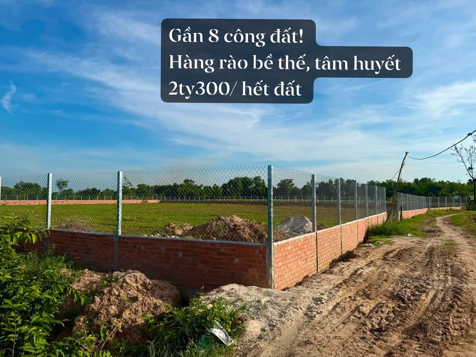 Mảnh vườn 7685m² tại Bến Cầu, Tây Ninh - Giá chỉ 2.3 tỷ - Cơ hội đầu tư tuyệt vời!