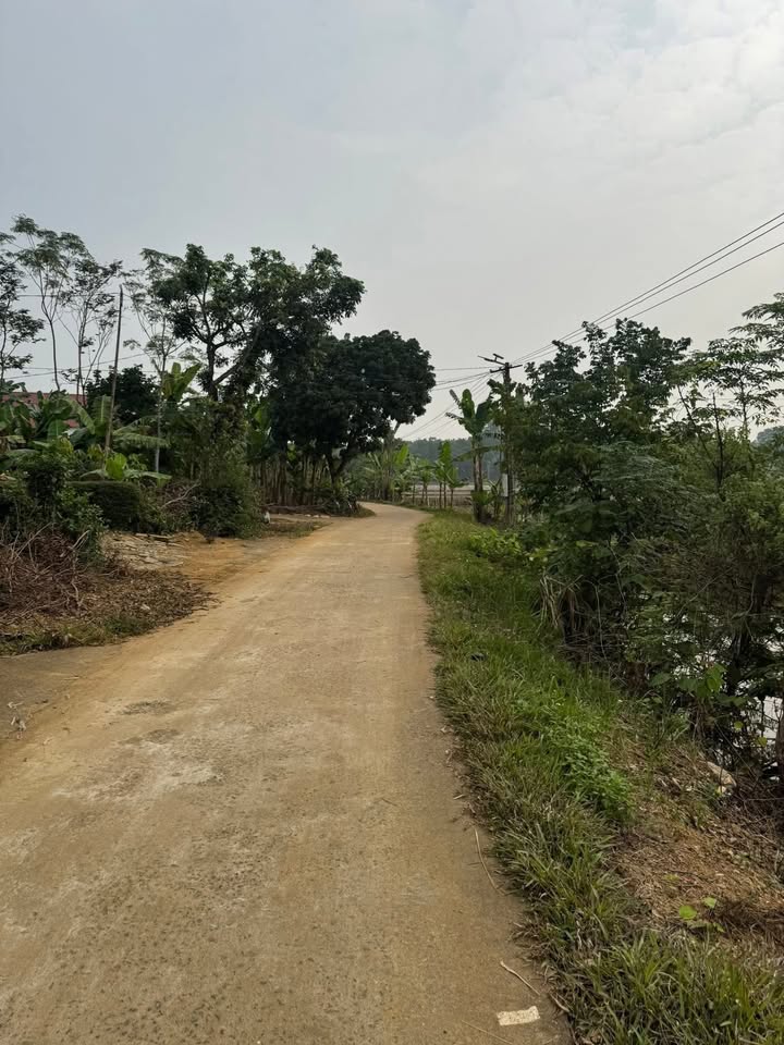 Đất nền thổ cư 300m² xã Sao Vàng - Gần khu đô thị Sao Mai, giá yêu thương!