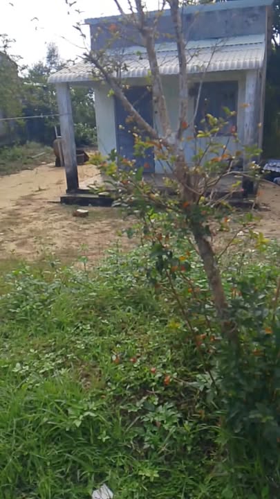 Đất nền mặt tiền đường Thanh Niên, Tam Thanh, Tam Kỳ 310m² giá chỉ 2 tỷ - Sổ hồng trao tay!