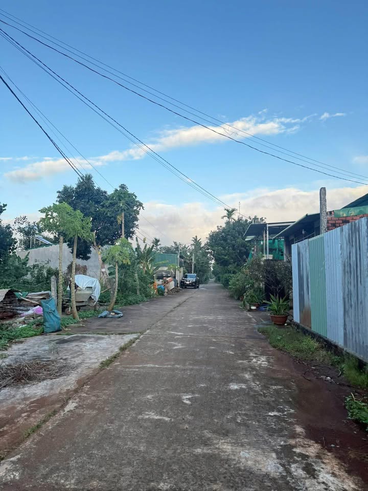 Đất thổ cư 117.5m² Tân An - Giá chỉ 800 triệu - Cơ hội đầu tư tuyệt vời!