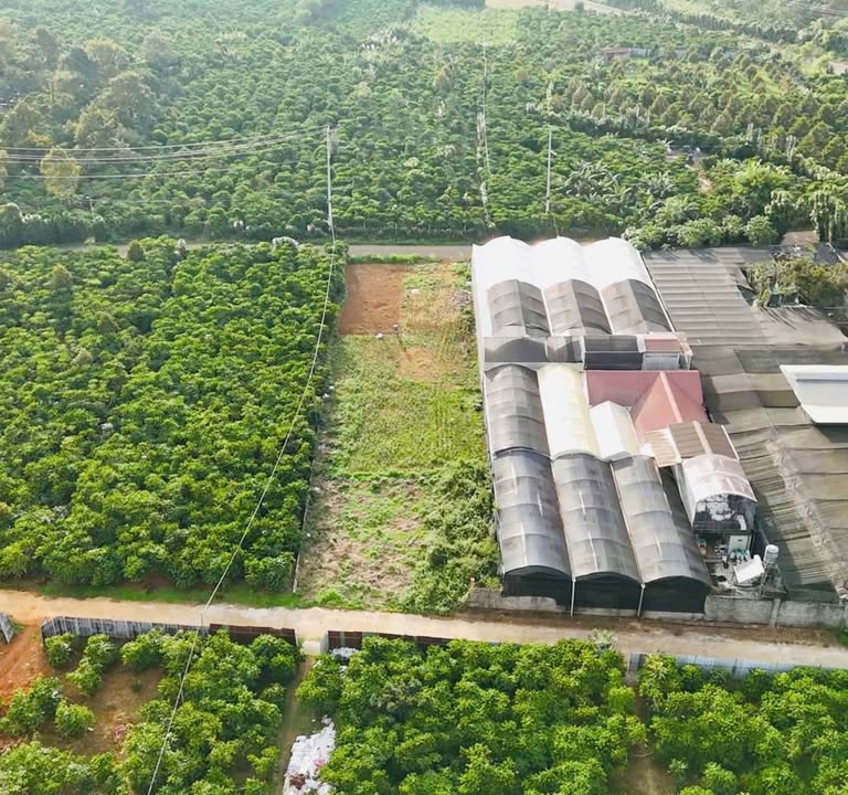 Đất thổ cư B'lao Bảo Lộc 306m² giá chỉ 1.44 tỷ - Cơ hội vàng đầu tư!