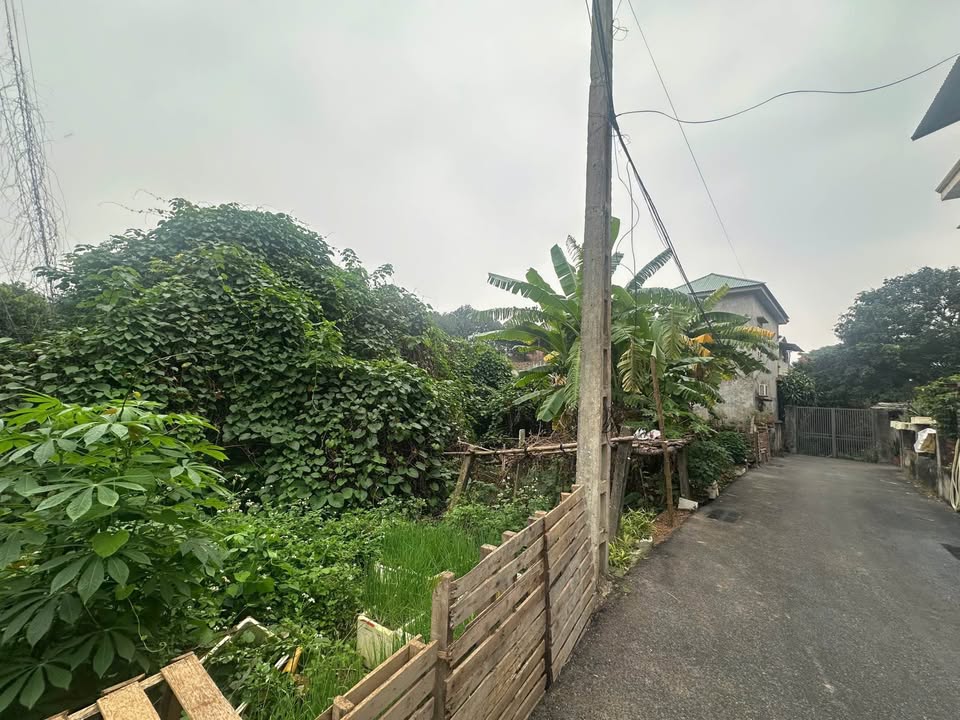 Đất nền Định Trung Vĩnh Yên 186m² giá chỉ 1x triệu/m² - Đường ô tô vào tận đất!