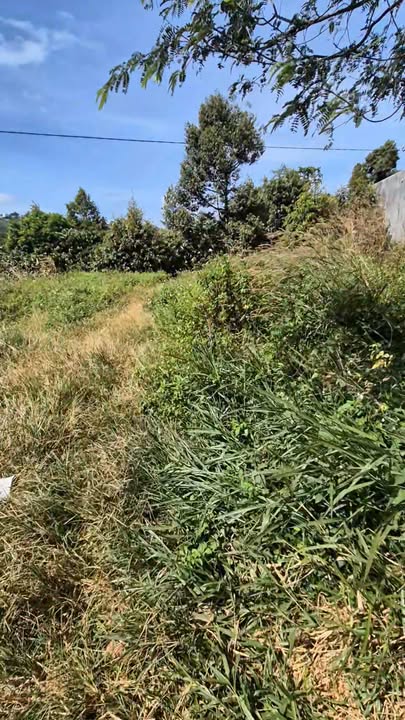 Đất nền kinh doanh Đắk Nia 8045m² giá 4.8 tỷ - Cơ hội đầu tư sinh lời cao!