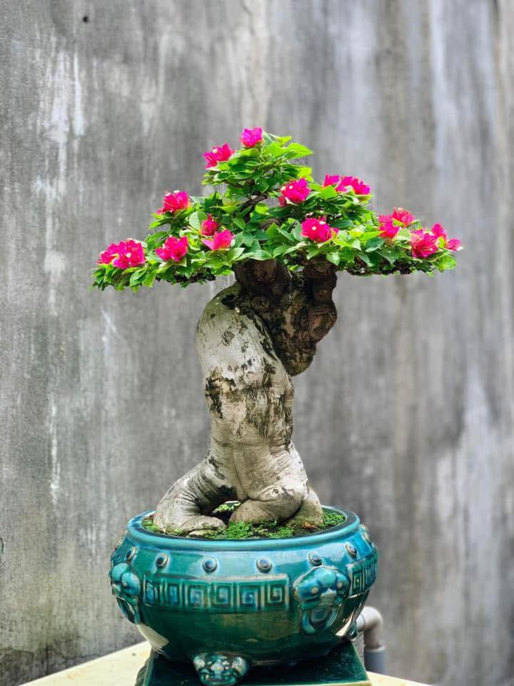 Đất nền Hòa Quý, Đà Nẵng 100,5m² giá chỉ 2.1 tỷ - Cơ hội đầu tư tuyệt vời!