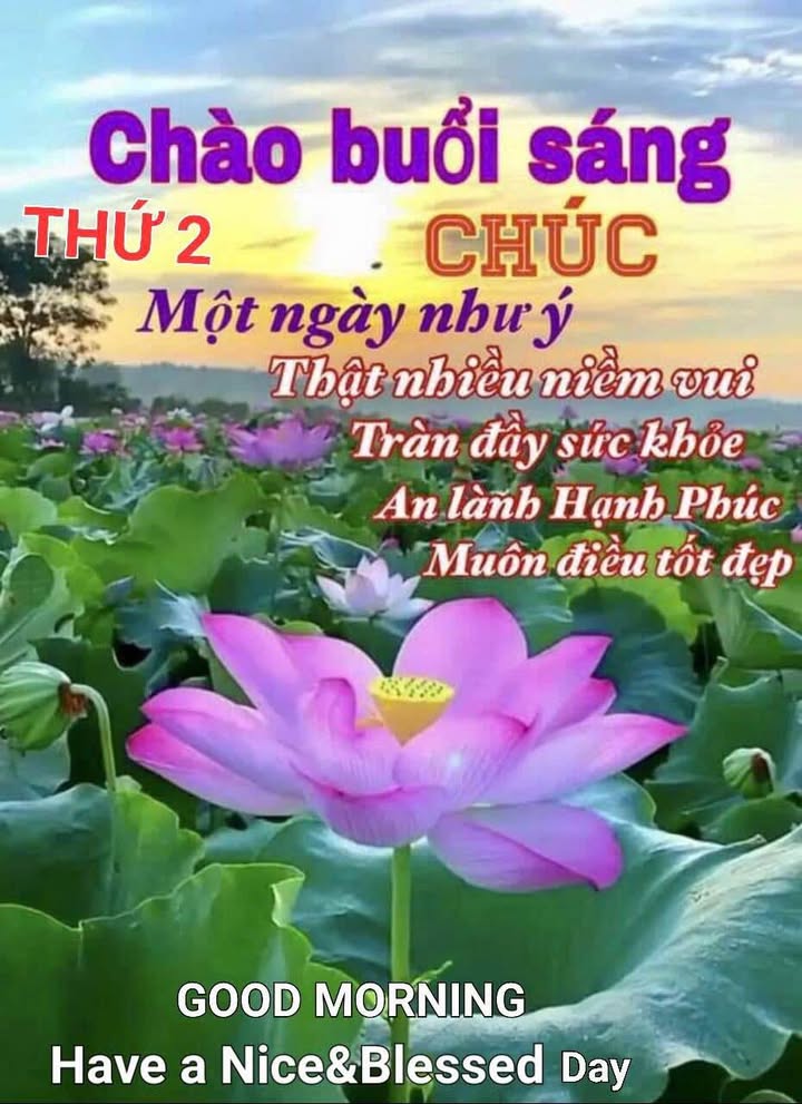 Đất nền đẹp tại hẻm đường số 3, Tân Hạnh, 225m² giá 2 tỷ - Sổ đỏ chính chủ!