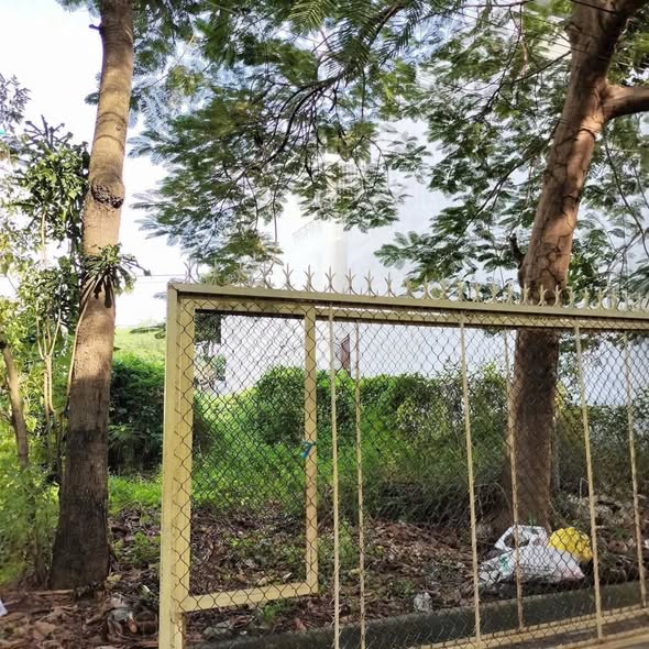 Đất nền mặt tiền chợ Sao Mai, phường Bình Khánh, Long Xuyên 80m² - Tiềm năng đầu tư lớn!