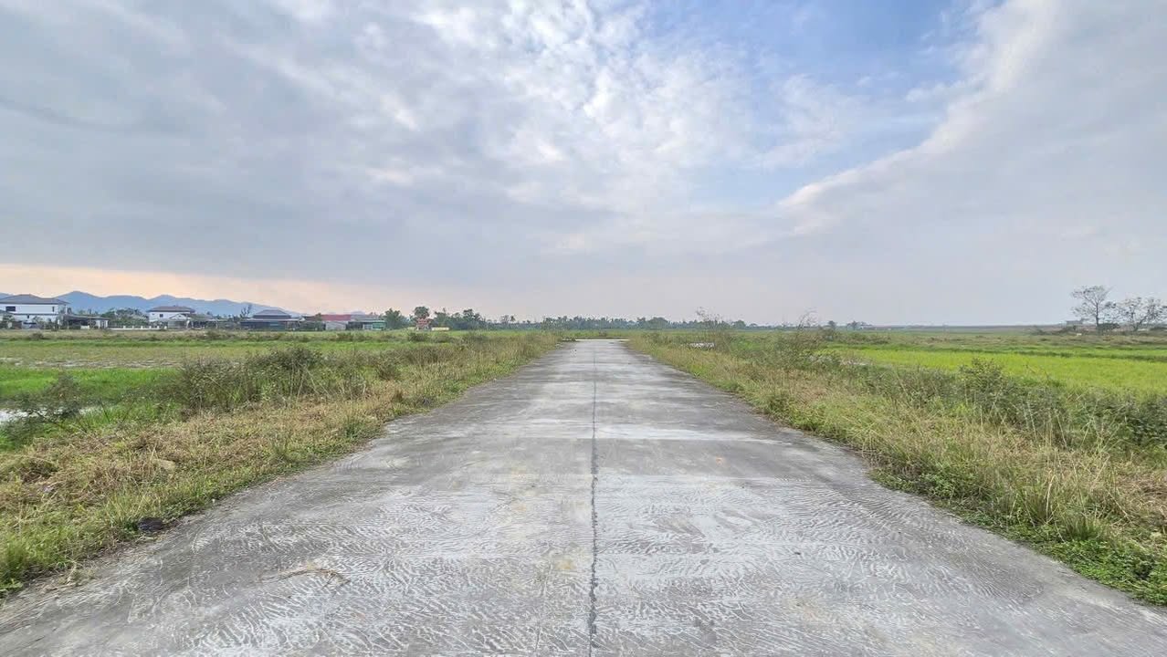 Đất thổ cư Thạch Xuân 250m² giá 2.8 tỷ - Vị trí đẹp, đầu tư sinh lời!