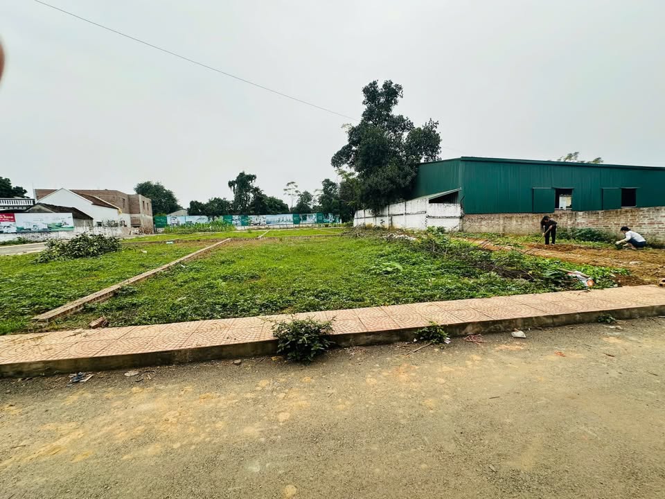 Đất thổ cư 113m² xã Phú Cát - Vị trí đắc địa cạnh UBND