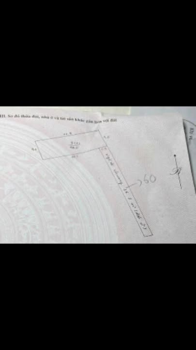 Đất nền Ngõ 8 Nội Am, Thanh Trì 46m² giá 3.65 tỷ - Sổ đỏ chính chủ