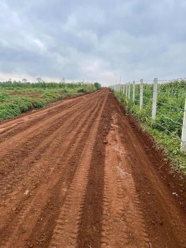 Đất nền Ea Tul, Cư M'gar, Đắk Lắk 12.000m² - Đầu tư sinh lời ngay!