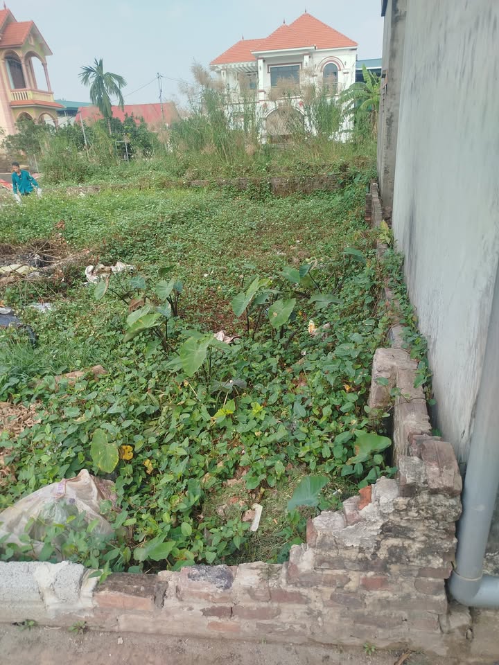 Đất nền Thư Phú Thường Tín 53m² giá 3.27 tỷ - Cơ hội đầu tư tuyệt vời!