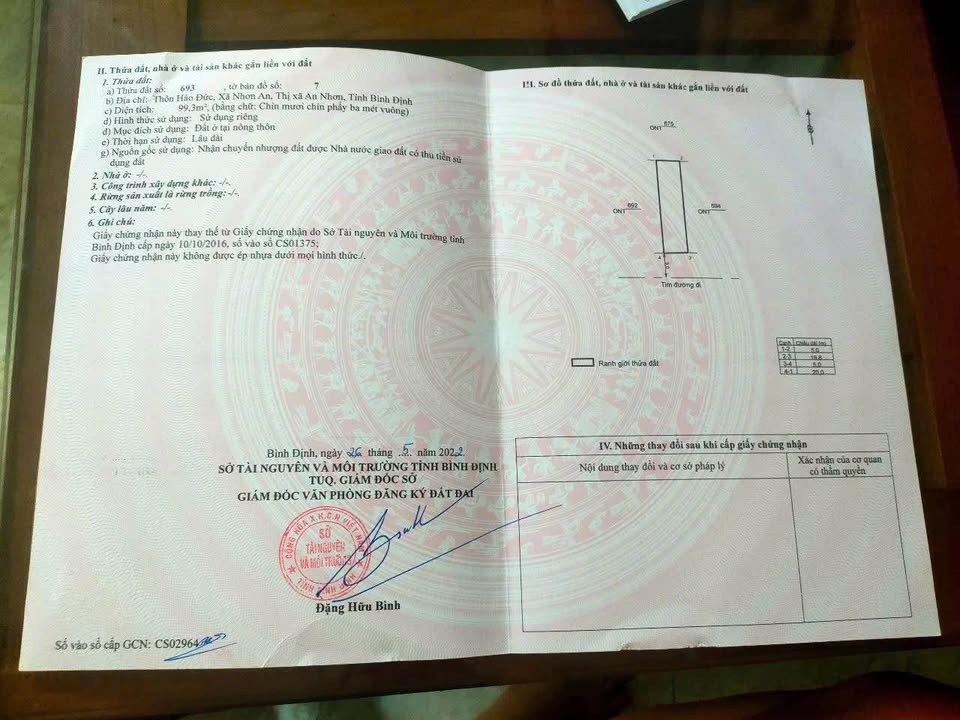 Đất nền An Nhơn Đông 99m² giá chỉ 500 triệu - Cơ hội đầu tư hấp dẫn!