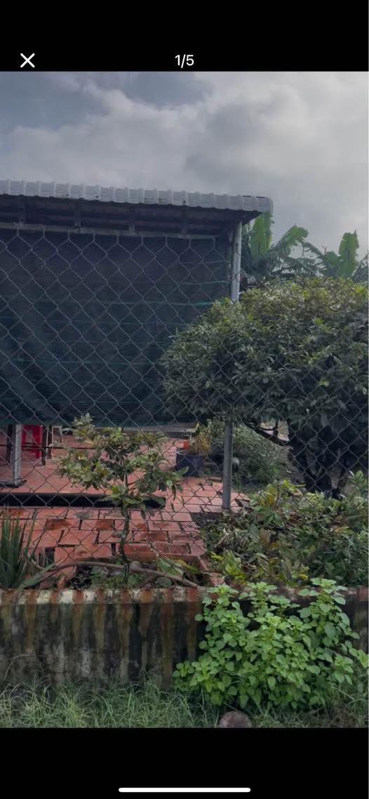 Đất mặt tiền đường Phước Đức B, Cần Đước 260m² giá 2.2 tỷ - Đầu tư sinh lời!