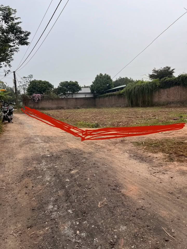 Đất vườn Sài Sơn 620m² giá chỉ 2.48 tỷ - Đầu tư sinh lời hấp dẫn!