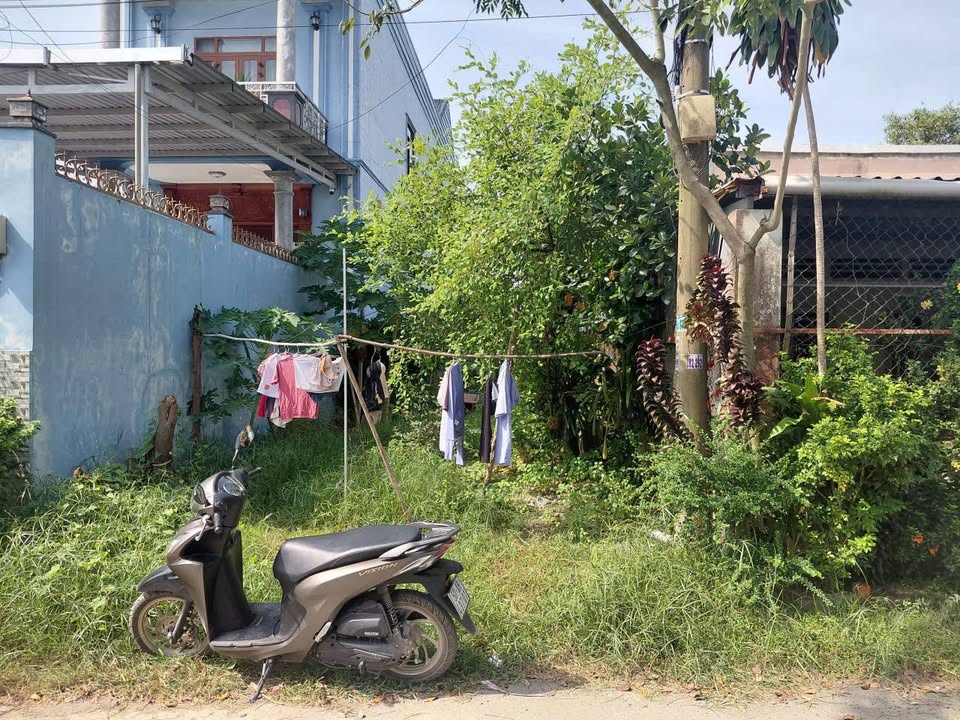 Đất Tân Phú Trung Củ Chi 300m² chỉ 2.9 tỷ - Đầu tư sinh lời nhanh!