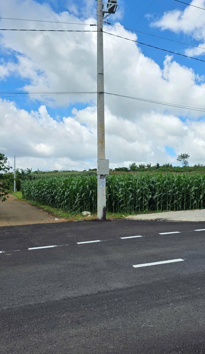 Đất nền Bảo Lâm 512m² giá 4.1 tỷ - Sổ đỏ chính chủ, thổ cư hoàn thiện!