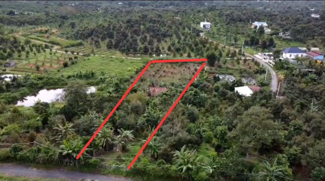 Đất vườn Lộc Nam 2000m² giá 1.45 tỷ - Sổ đỏ chính chủ, gần dân cư!