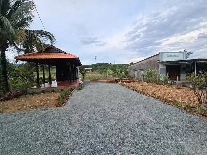 Farm Diên Lâm, Diên Khánh 720m² giá 2.468 tỷ - Đầu tư sinh lời lý tưởng!