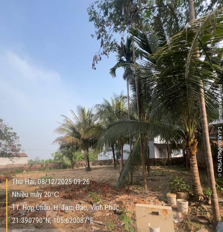 Đất nghỉ dưỡng Hợp Châu, Tam Đảo 533m² giá 5.368 tỷ - Cơ hội hiếm có!