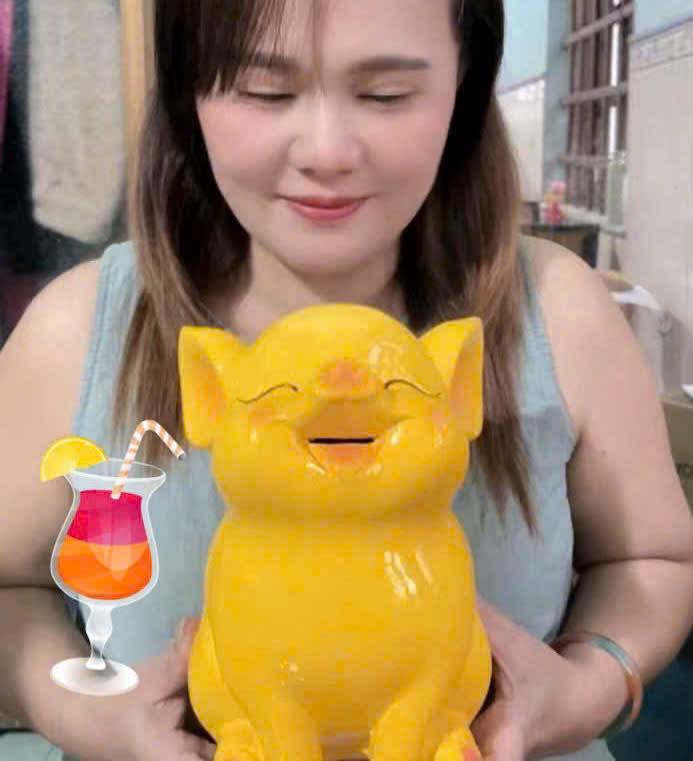 Đất Tịnh Hà Sơn Tịnh 500m² - Đường bê tông ô tô thông thoáng