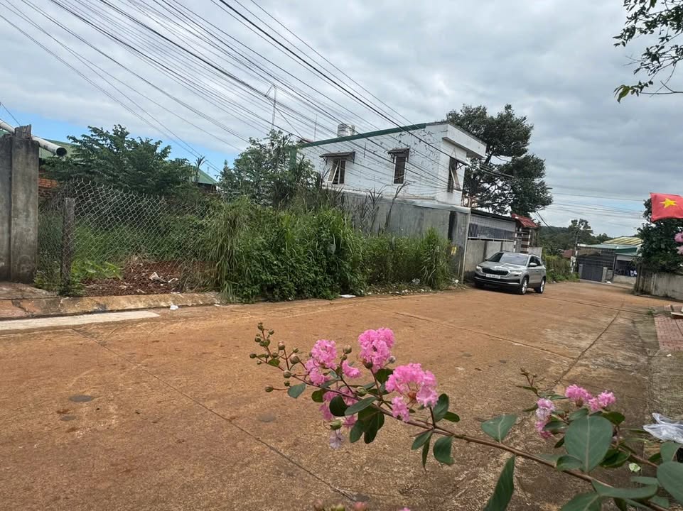 Đất nền liền kề Nguyễn Chí Thanh, Tân An, 64m² giá chỉ 2.56 tỷ - Cơ hội đầu tư tuyệt vời!