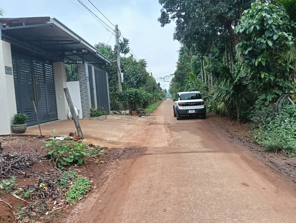 Đất mặt tiền đường D3 Buôn Ma Thuột 57m² giá 1.55 tỷ - Đầu tư sinh lời ngay!