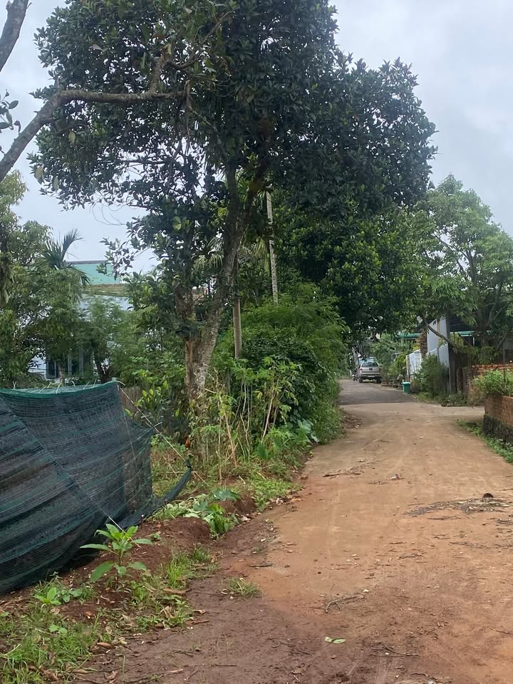 Đất Hoà Thắng, Tân Lập, Đắk Lắk 360m² - Gần chợ, trường học, sân bay!