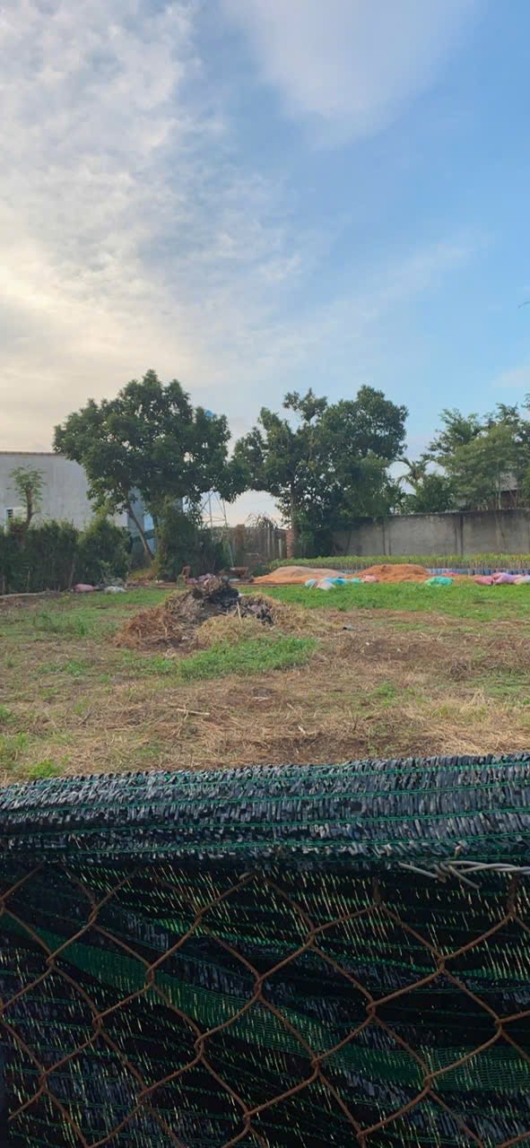 Đất nền Hòa Thuận Buôn Ma Thuột 205m² giá 1.05 tỷ - Bán gấp, bớt lộc!