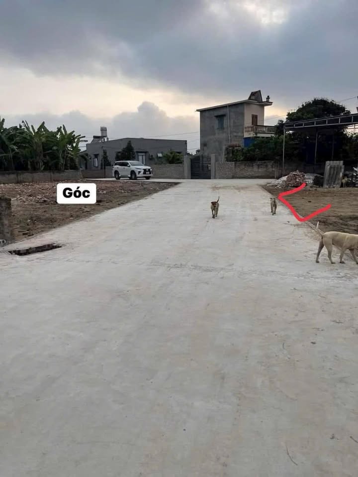 Đất nền Vĩnh Lập - Thanh Hà 108m² giá 500 triệu - Đường rộng thông thoáng!