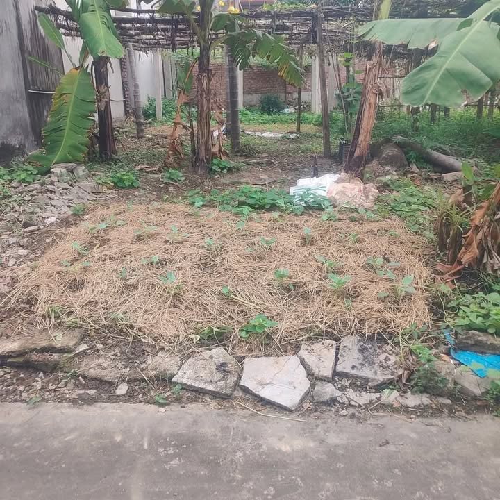 Đất nền phường Ái Quốc, Hải Dương 79m² - Vị trí vàng, thuận lợi giao thông!