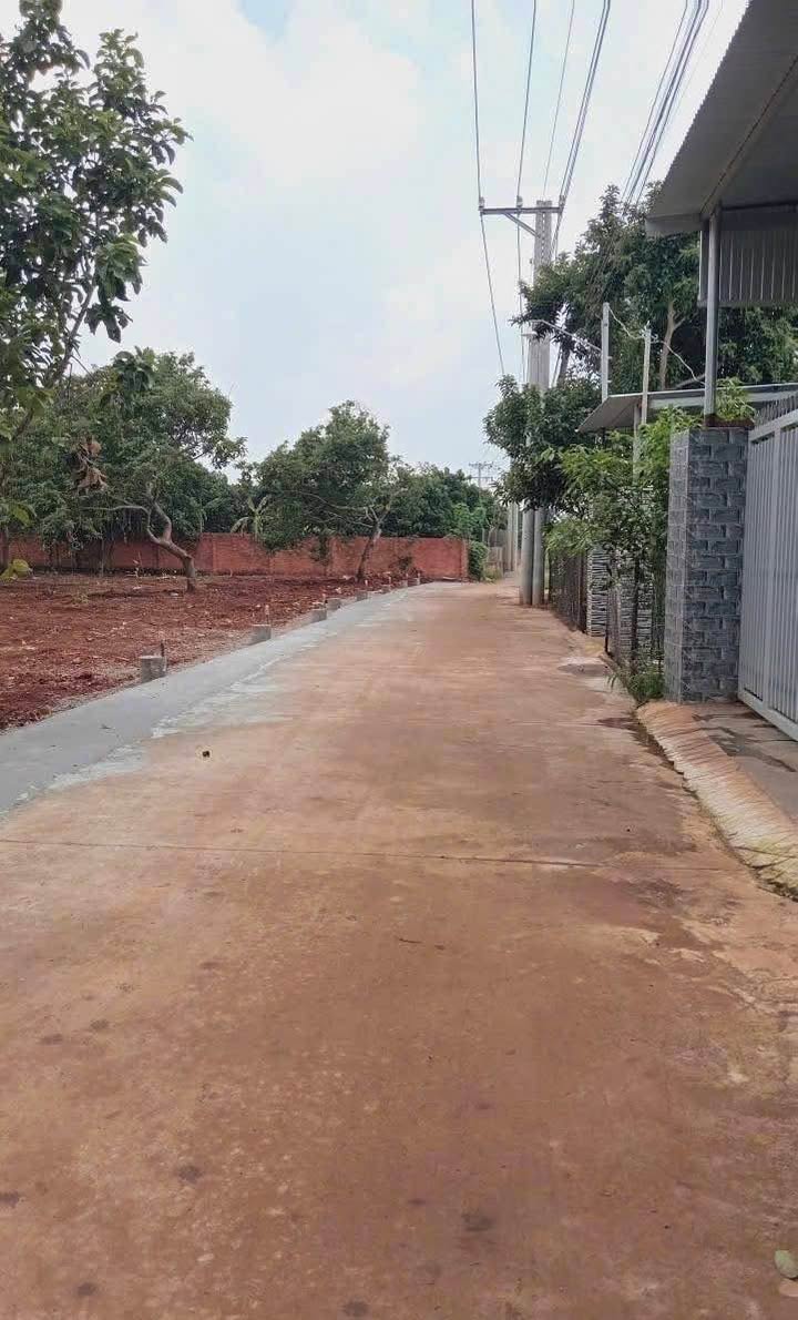 Đất thổ cư xã Gia Kiệm 115m² giá 750 triệu - Chỉ 100m đến trường Nguyễn Du!