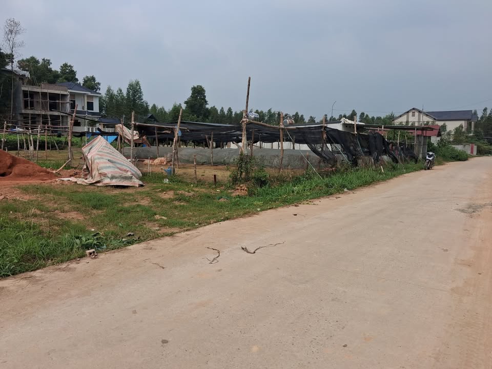 Đất thổ cư Đồi Quăn, Phù Ninh 147m² giá 2 tỷ - Vị trí đắc địa, tiện ích đầy đủ!