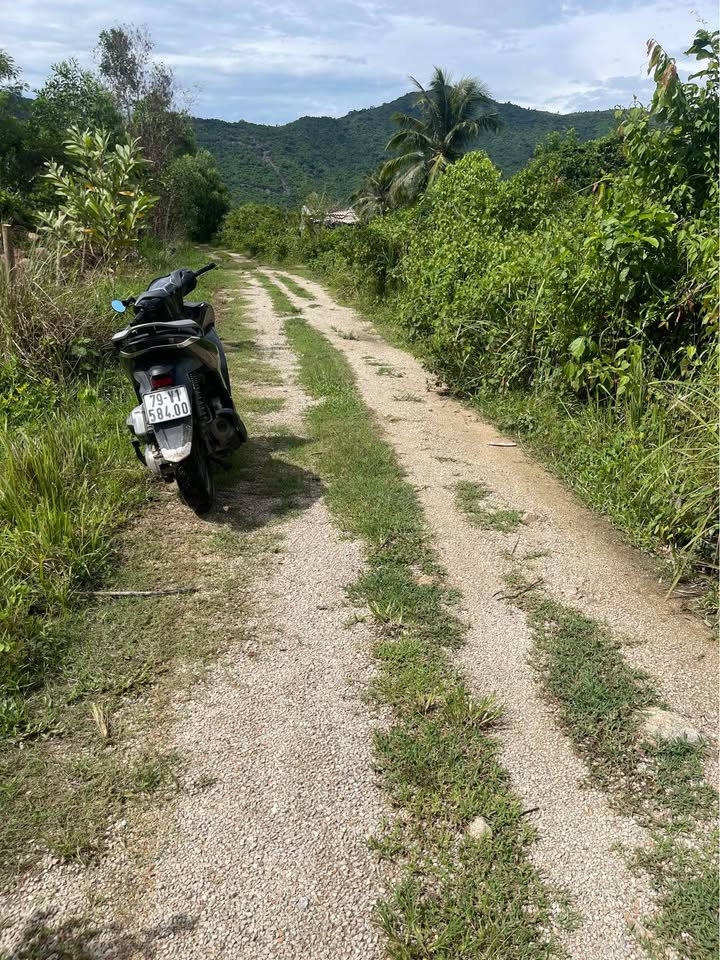 Đất nền 4800m² tại Vạn Lương, Khánh Hòa - Giá chỉ 1.5 tỷ, ô tô vào tận nơi!