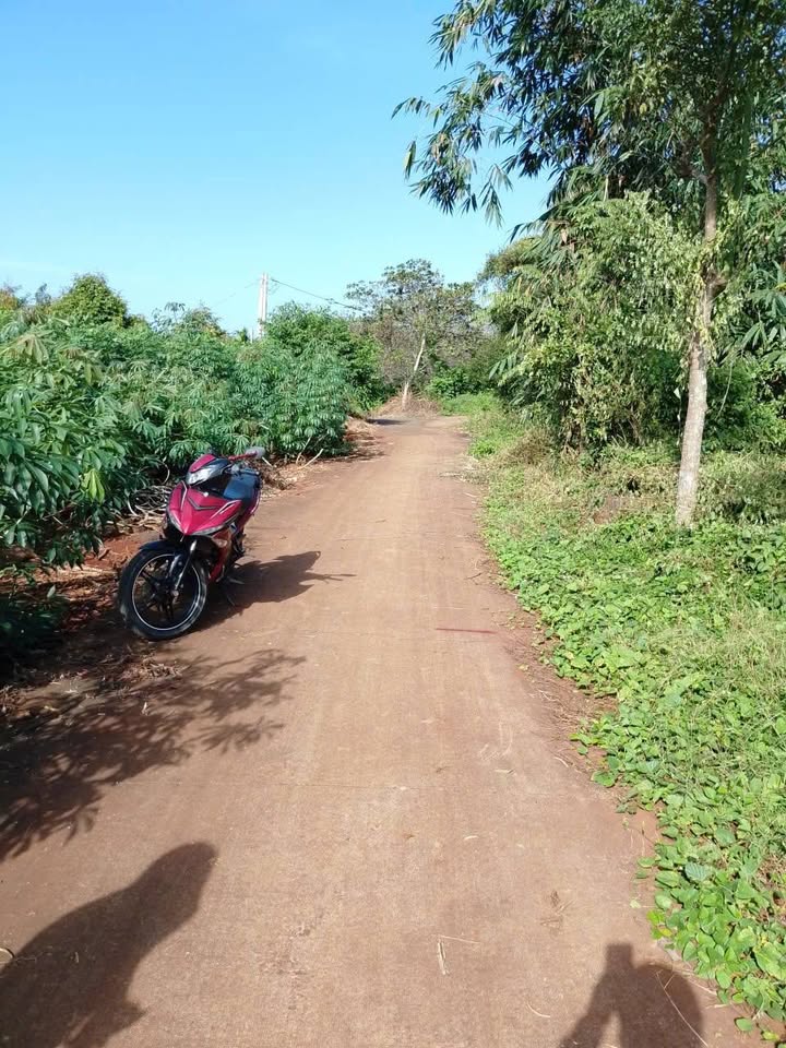 Đất nền Đá Bạc, Châu Đức, 160m² giá 520 triệu - Đầu tư ngay hôm nay!