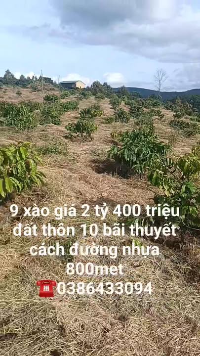 Đất nền 9000m² tại Tân Thanh, Lâm Hà - Giá 2.4 tỷ, cơ hội đầu tư tuyệt vời!