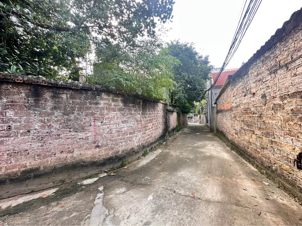 Đất 2 mặt tiền Khu Hoà Phong Minh Nông - 82m² giá 2.2 tỷ - Cách VinCom chỉ 5 phút