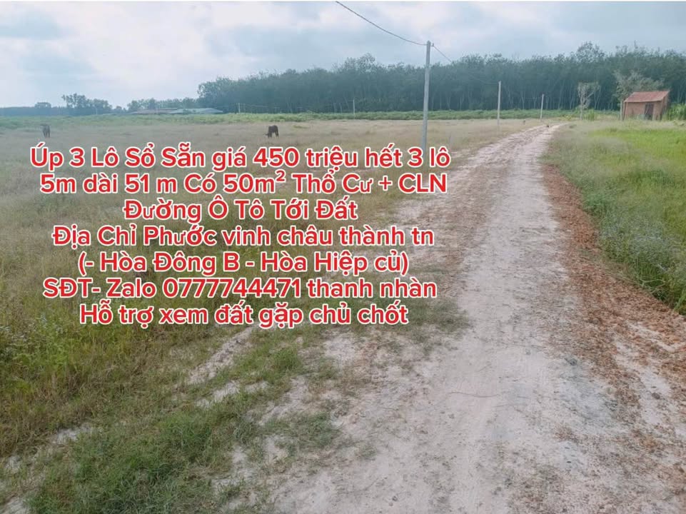 Đất thổ cư Phước Vinh, Châu Thành 50m² giá 450 triệu - Sổ đỏ chính chủ