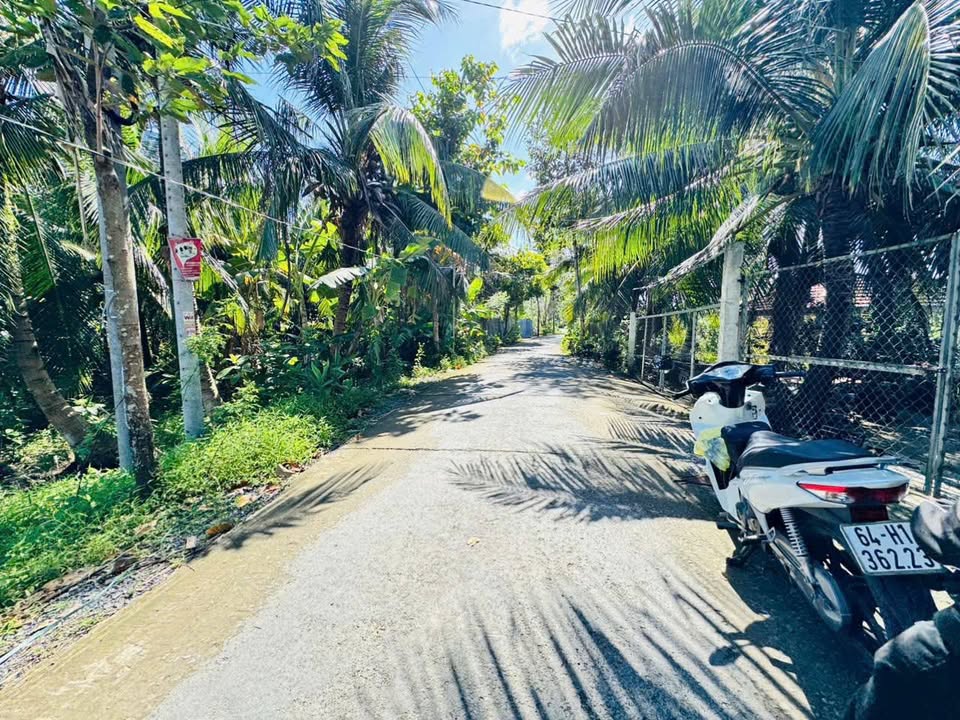 Đất thổ cư Đông Thạnh Vĩnh Long 195m² giá 650 triệu - Đường lớn ô tô vào tận nơi!