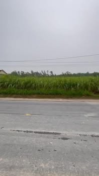 Đất nền Quỳnh Châu 161m² giá 200 triệu - Cơ hội đầu tư nhanh chóng!