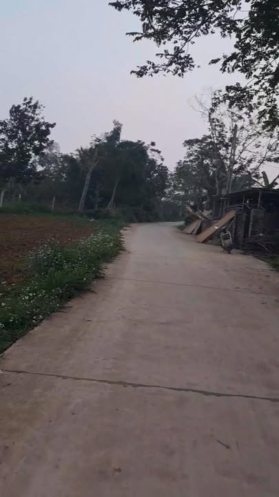 Đất nền Nghĩa Mỹ 434m² giá tốt - Cơ hội đầu tư tuyệt vời!