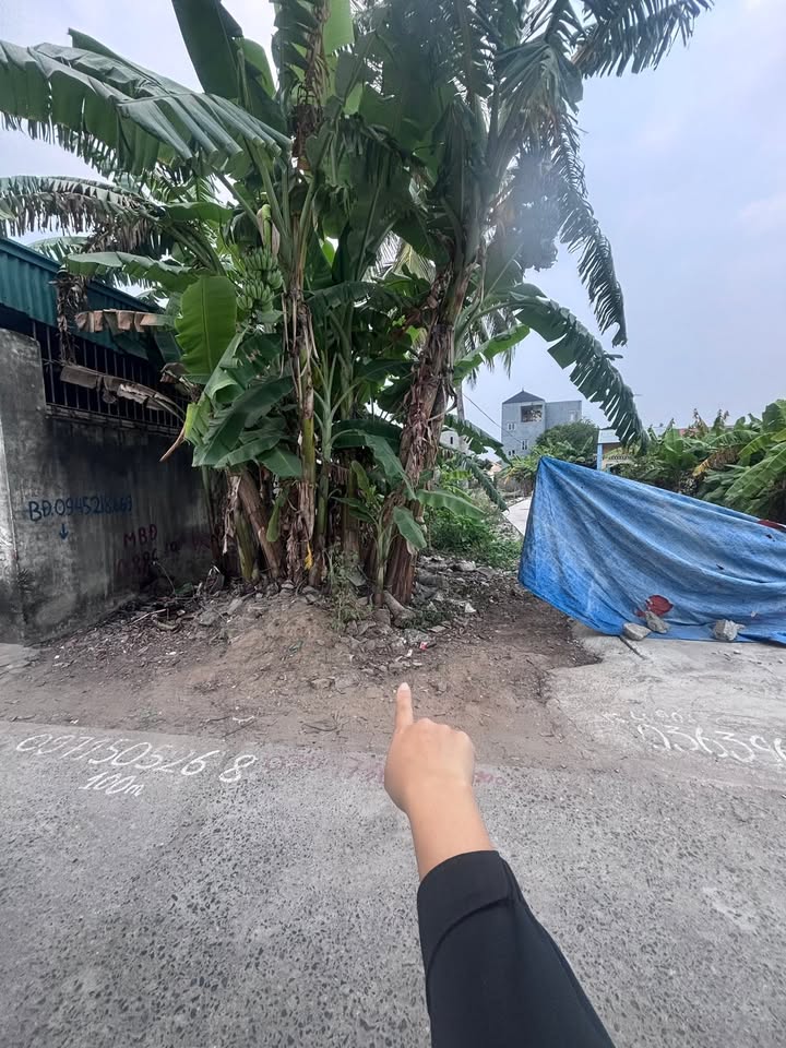 Đất nền lô góc 100m² tại Bắc Sơn, An Dương - Giá chỉ 2 tỷ, tiện lợi ô tô vào tận nơi!