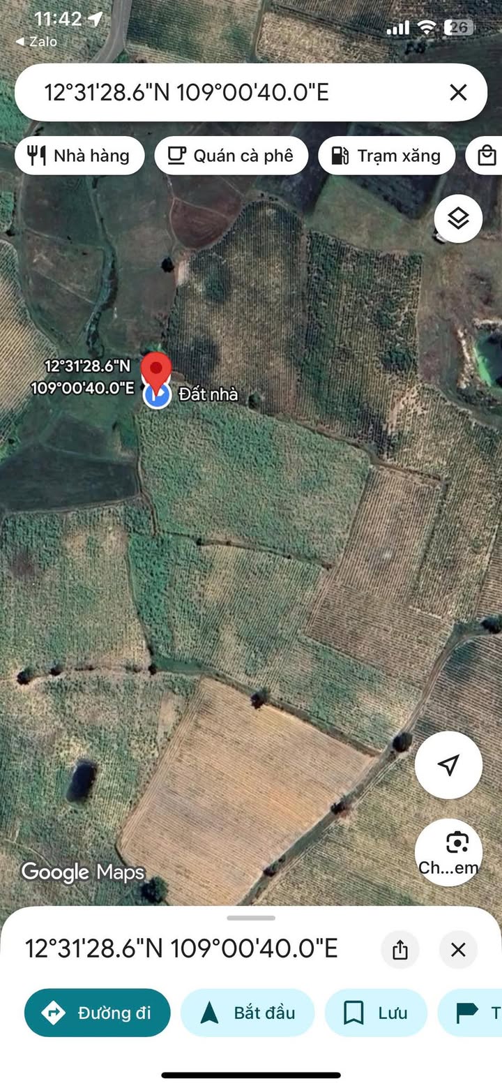 Đất trồng cây Ninh Sim 5399m² giá 400 triệu - Cơ hội đầu tư tuyệt vời!