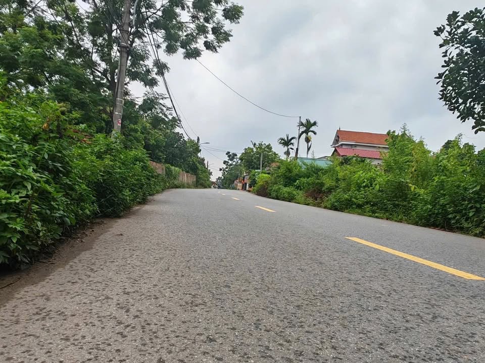 Đất kinh doanh Kim Anh, Sóc Sơn 120m² - Tiềm năng sinh lời lớn!