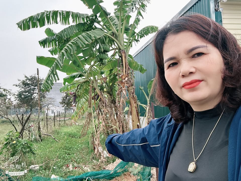 Đất thổ cư Tiên Dược, Sóc Sơn 80m² giá thỏa thuận - Đầu tư sinh lời hấp dẫn!