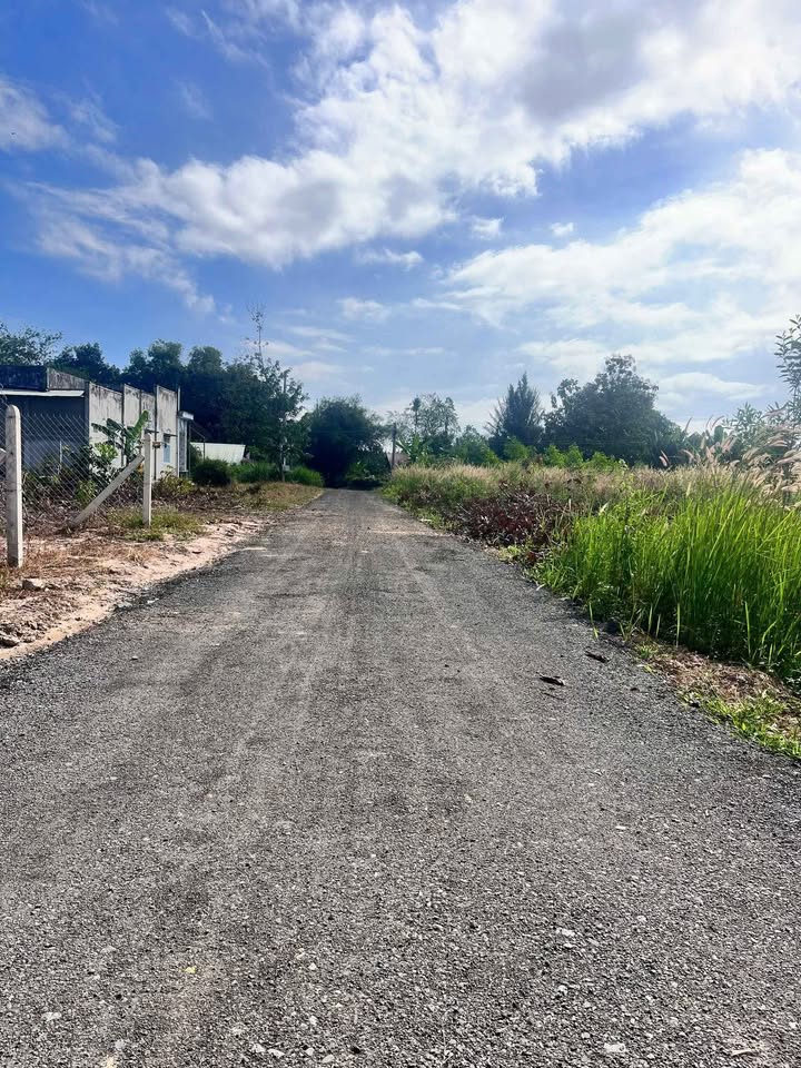 Đất mặt tiền nhựa 5m tại ấp Cây Da, Gò Dầu, Tây Ninh, 115m² chỉ 860 triệu - Cơ hội đầu tư tuyệt vời!