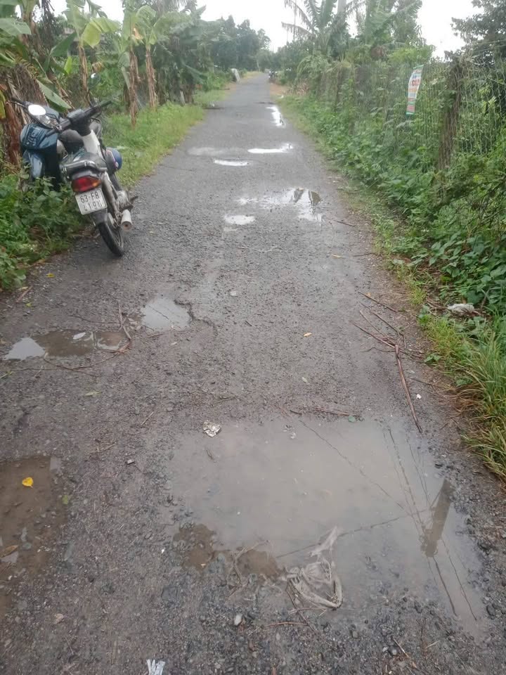 Đất nông nghiệp 36.000m² tại Tân Hội Trung, giá 1 tỷ - Cơ hội đầu tư hấp dẫn!